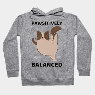 Pawsitively Balanced | Funny Cat Yoga Hoodie